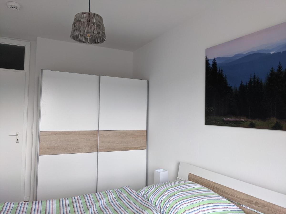 Fernblick Braunlage Lejlighed Eksteriør billede