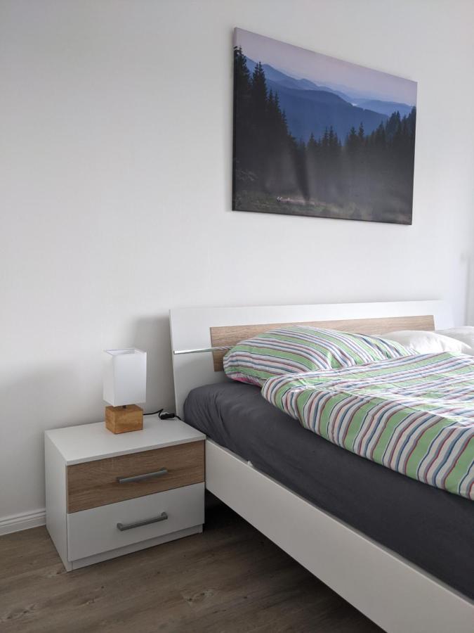 Fernblick Braunlage Lejlighed Eksteriør billede